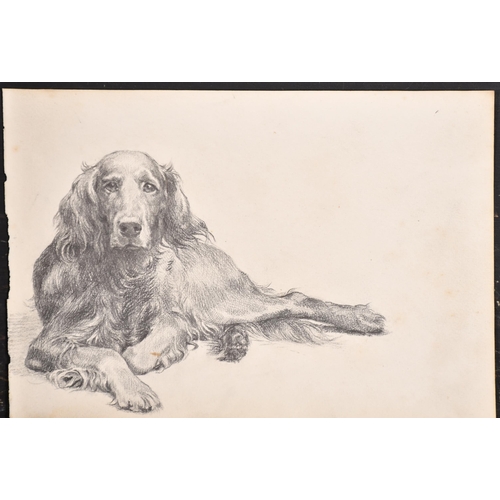 84 - Thomas Blinks (1860-1912) British. Study of a Setter, Pencil, unframed 7