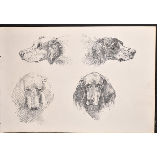 84 - Thomas Blinks (1860-1912) British. Study of a Setter, Pencil, unframed 7