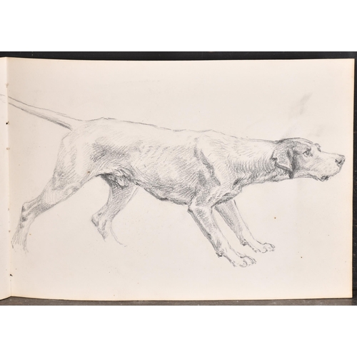 84 - Thomas Blinks (1860-1912) British. Study of a Setter, Pencil, unframed 7