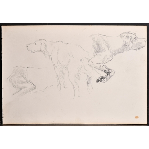 84 - Thomas Blinks (1860-1912) British. Study of a Setter, Pencil, unframed 7