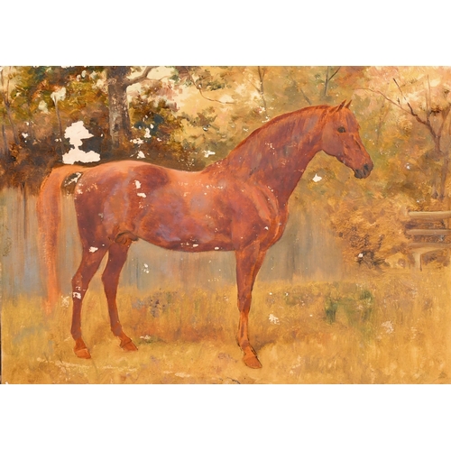 87 - Thomas Blinks (1860-1912) British. Study of a Chestnut Horse, Oil on card, unframed 9.5