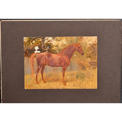 87 - Thomas Blinks (1860-1912) British. Study of a Chestnut Horse, Oil on card, unframed 9.5