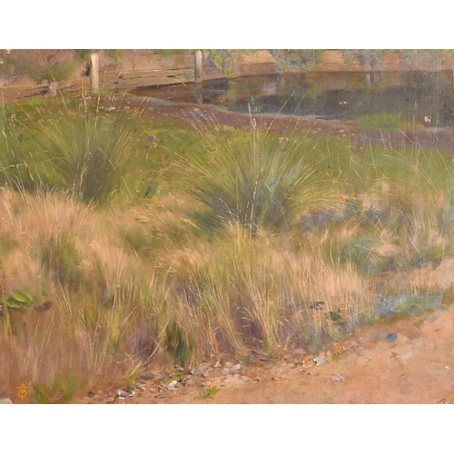 88 - Thomas Blinks (1860-1912) British. Study of Undergrowth with a River beyond, Oil on card, Signed wit... 