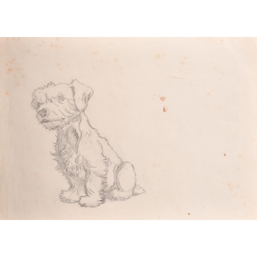 89 - Attributed to Cecil Aldin (1870-1935) British. Study of Terrier Puppy, Pencil, unframed 10