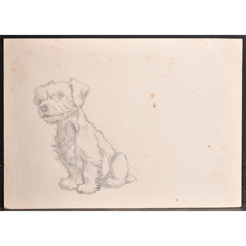 89 - Attributed to Cecil Aldin (1870-1935) British. Study of Terrier Puppy, Pencil, unframed 10