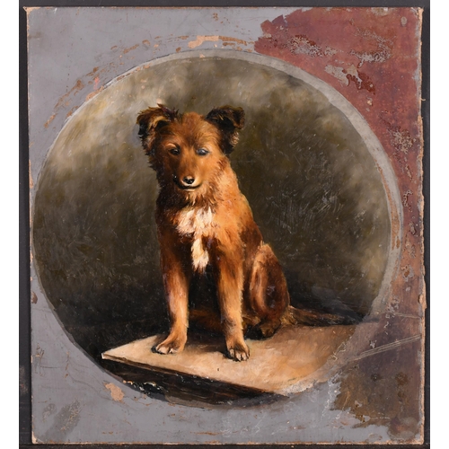 119 - Early 20th Century English School. Study of a Dog, Oil on board, with a sketch verso, Painted circul... 