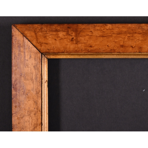 405 - 19th Century English School. A Bird's Eye Maple Frame, with a gilt slip, rebate 19.5