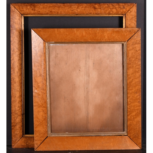 405 - 19th Century English School. A Bird's Eye Maple Frame, with a gilt slip, rebate 19.5