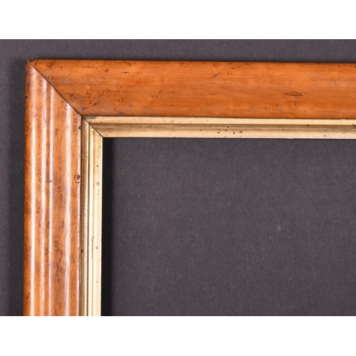 407 - 19th Century English School. A Maple Frame, with a gilt slip, rebate 19.5