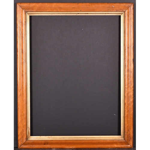 407 - 19th Century English School. A Maple Frame, with a gilt slip, rebate 19.5