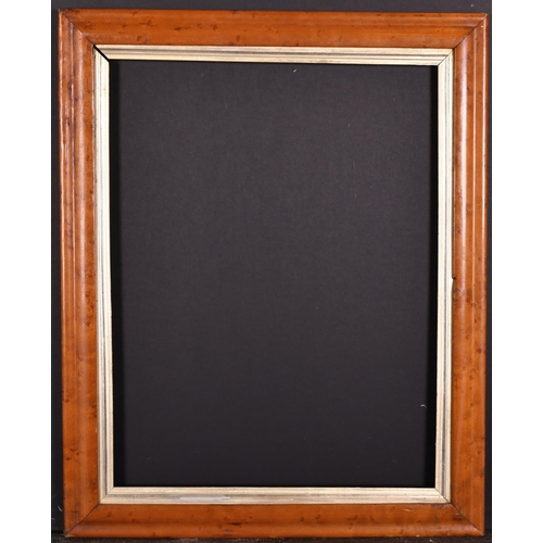 427 - 19th Century English School. A Maple Frame, with a silver slip, rebate 17.5