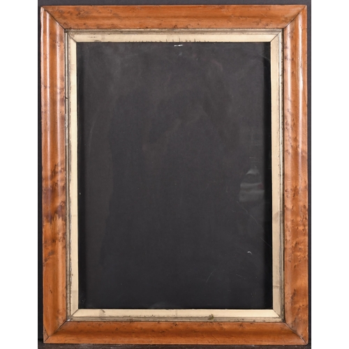 439 - 19th Century English School. A Maple Frame, with a gilt slip and inset glass, rebate 16