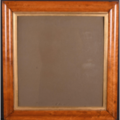 443 - 19th Century English School. A Maple Frame, with inset print and glass, rebate 14.75