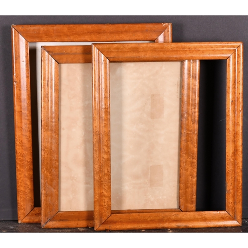 456 - 19th Century English School. A Maple Frame, rebate 13.25