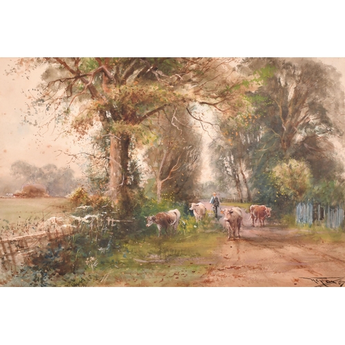 48 - Henry Charles Fox (1855-1929) British. Drover and Cattle on a Country Lane, Watercolour, Signed and ... 