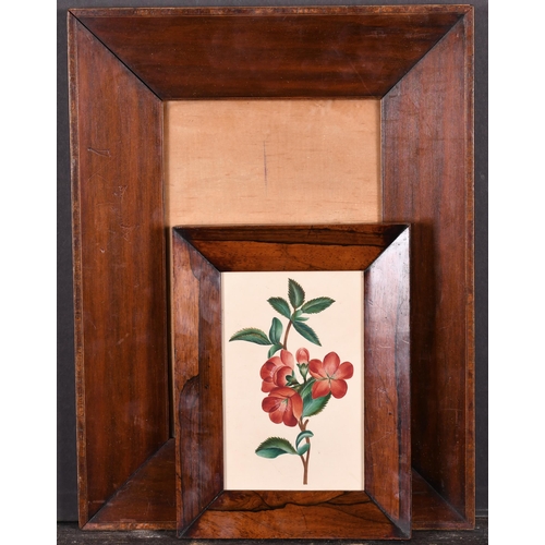 480 - 19th Century English School. A Darkwood Frame, with a print and inset glass, rebate 7