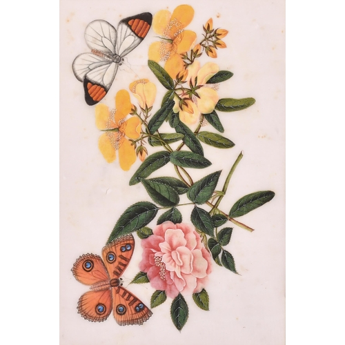 59 - 19th Century Chinese School. A Set of Three Still Life of Flowers and Butterflies, Watercolour on ri... 