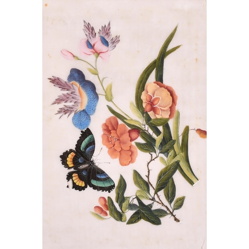 59 - 19th Century Chinese School. A Set of Three Still Life of Flowers and Butterflies, Watercolour on ri... 