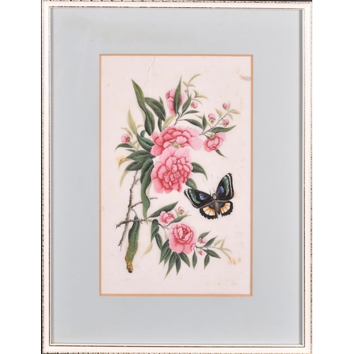 59 - 19th Century Chinese School. A Set of Three Still Life of Flowers and Butterflies, Watercolour on ri... 