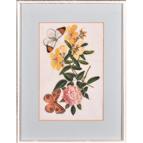 59 - 19th Century Chinese School. A Set of Three Still Life of Flowers and Butterflies, Watercolour on ri... 