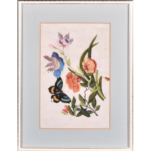 59 - 19th Century Chinese School. A Set of Three Still Life of Flowers and Butterflies, Watercolour on ri... 