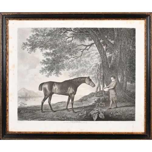 103 - After George Stubbs (1724-1806) British. 