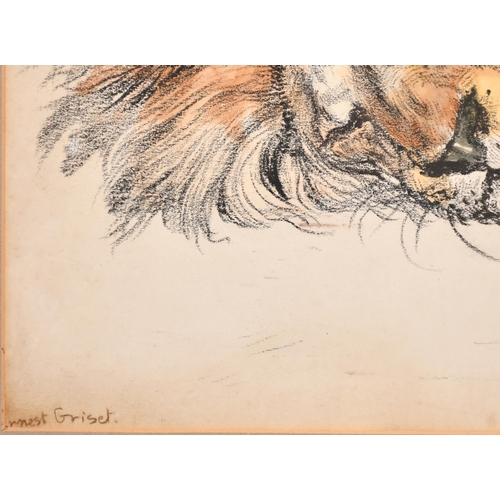 107 - Ernest Griset (1843-1907) French. Sleeping Lion, Watercolour and pencil, Signed, 13