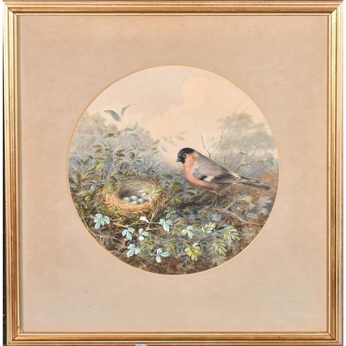 110 - Circle of Henry Bright (1810-1873) British. Guarding the Nest, Watercolour, Inscribed on a label ver... 