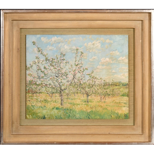 214 - Early 20th Century English School. Apple Blossom, Oil on board, Signed with initial 'P', and inscrib... 