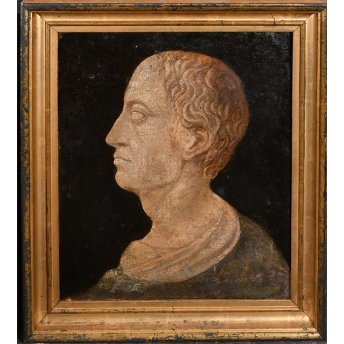 36 - Early 19th Century European School. Study of a Roman Bust, Oil on canvas laid down, 16.5