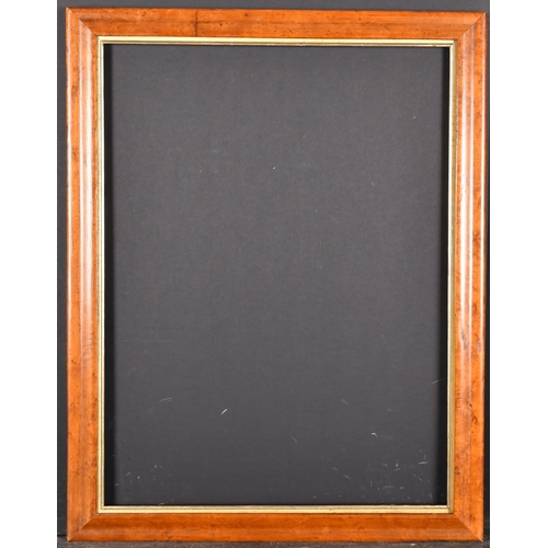 368 - 20th Century English School. A Maple Frame with a gilt slip, rebate 24