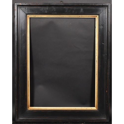 371 - Early 19th Century English School. A Darkwood Frame, with a gilt slip, rebate 23.5