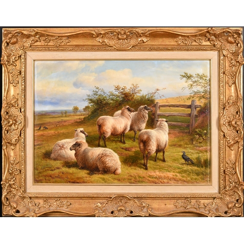 91 - Charles Jones (1836-1892) British. Sheep by a Gate, Oil on canvas, Signed with initials and dated '8... 