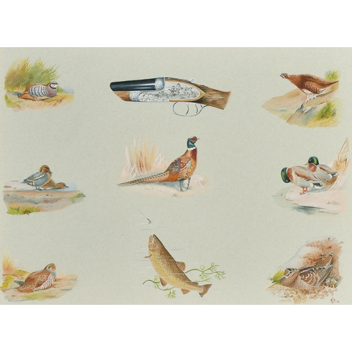 115 - 20th Century English School. Vignettes of Birds and Fish with a Stock of a Gun, Watercolour, Signed ... 