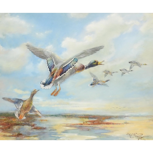 70 - William E Powell (1878-1955) British. A Set of Six Studies of Ducks in Flight, Watercolour, Signed, ... 