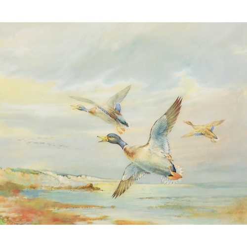 70 - William E Powell (1878-1955) British. A Set of Six Studies of Ducks in Flight, Watercolour, Signed, ... 