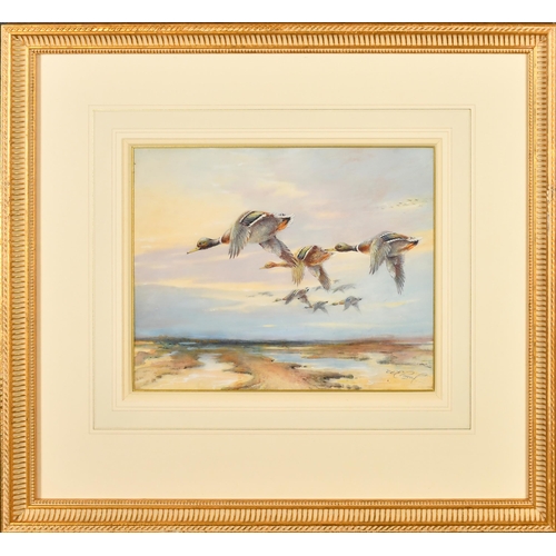 70 - William E Powell (1878-1955) British. A Set of Six Studies of Ducks in Flight, Watercolour, Signed, ... 