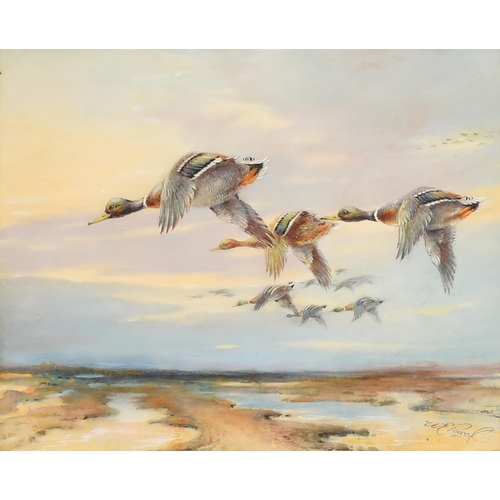 70 - William E Powell (1878-1955) British. A Set of Six Studies of Ducks in Flight, Watercolour, Signed, ... 