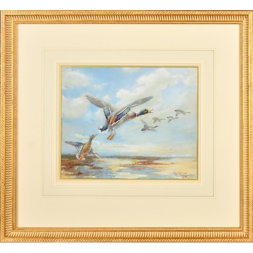 70 - William E Powell (1878-1955) British. A Set of Six Studies of Ducks in Flight, Watercolour, Signed, ... 