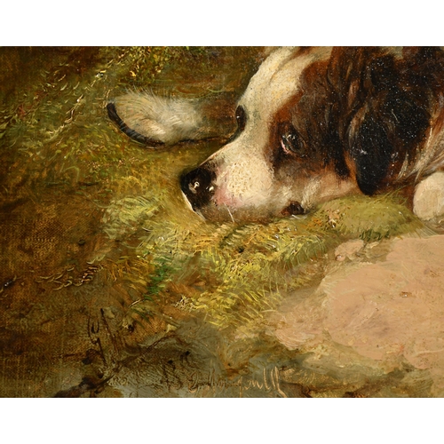 74 - George Armfield (1808-1893) British. A Sheepdog at Rest, Oil on canvas, Signed and dated 1869, 18