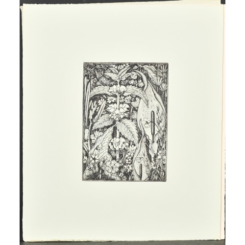86 - Robin Tanner (1904-1988) British. A Collection of fourteen etchings from 'Memorial Portfolio' includ... 