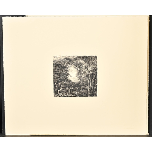 86 - Robin Tanner (1904-1988) British. A Collection of fourteen etchings from 'Memorial Portfolio' includ... 