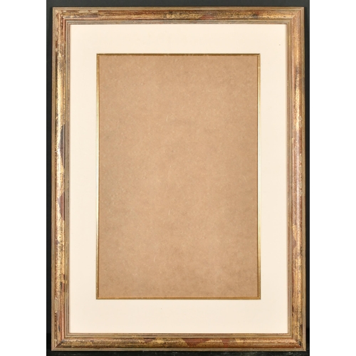 311 - 20th Century English School, A Gilt Composition Frame with mount and inset glass, rebate 21.5