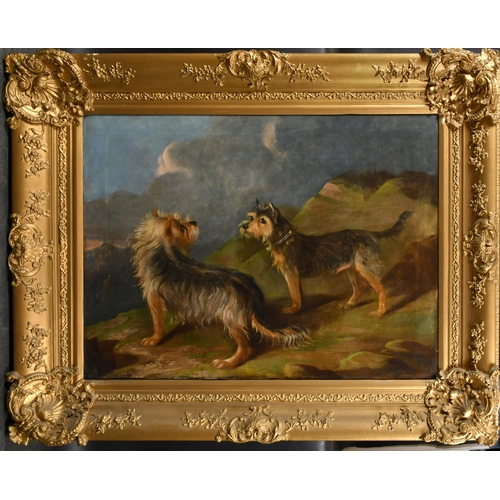 133 - Circle of Martin Theodore Ward (1799-1874) British. Terriers in a Landscape, Oil on canvas, 27.75