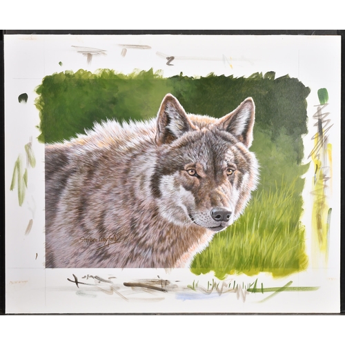 137 - Stephen Gayford (1954-2015) British. The Wolf, Acrylic on board, Signed, unframed 13