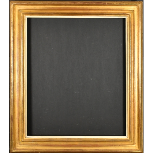 294 - 20th Century English School. A Gilt Composition Frame, with a white slip, rebate 24