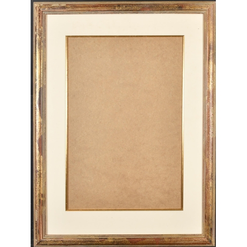 311 - 20th Century English School, A Gilt Composition Frame with mount and inset glass, rebate 21.5