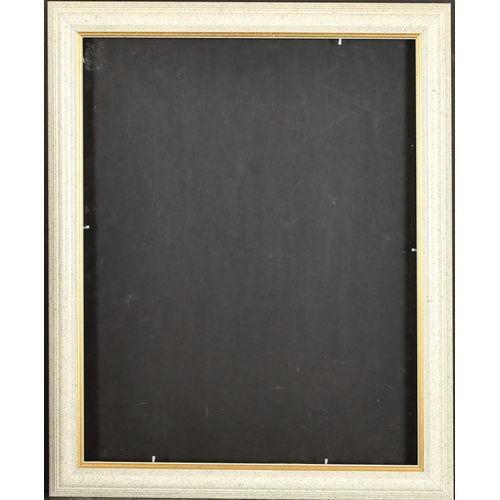 314 - 20th Century English School. A Painted Frame, with gilt inner and outer edges and inset glass, rebat... 