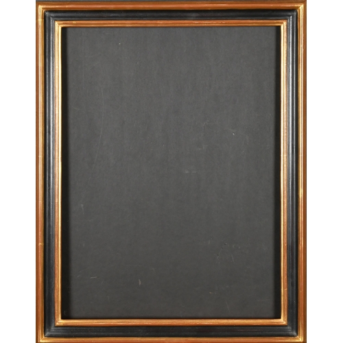 316 - 20th Century English School. A Gilt and Painted Frame, rebate 20.5