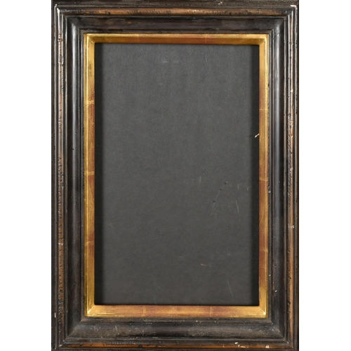 354 - 20th Century English School. A Darkwood Frame, with a gilt slip, rebate 11.25